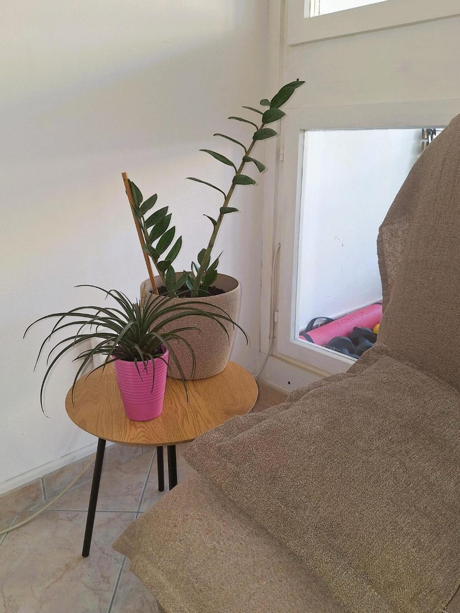 Apartment Mangus Split Zewnętrze zdjęcie